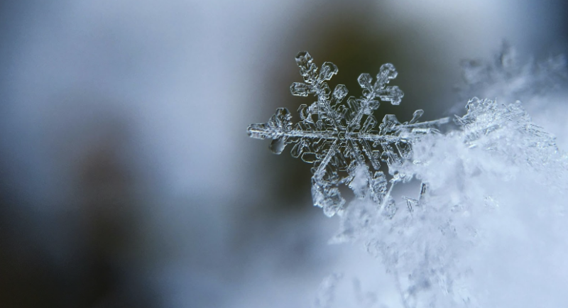 As Temperatures Drop, Online Entertainment Heats Up in West Virginia